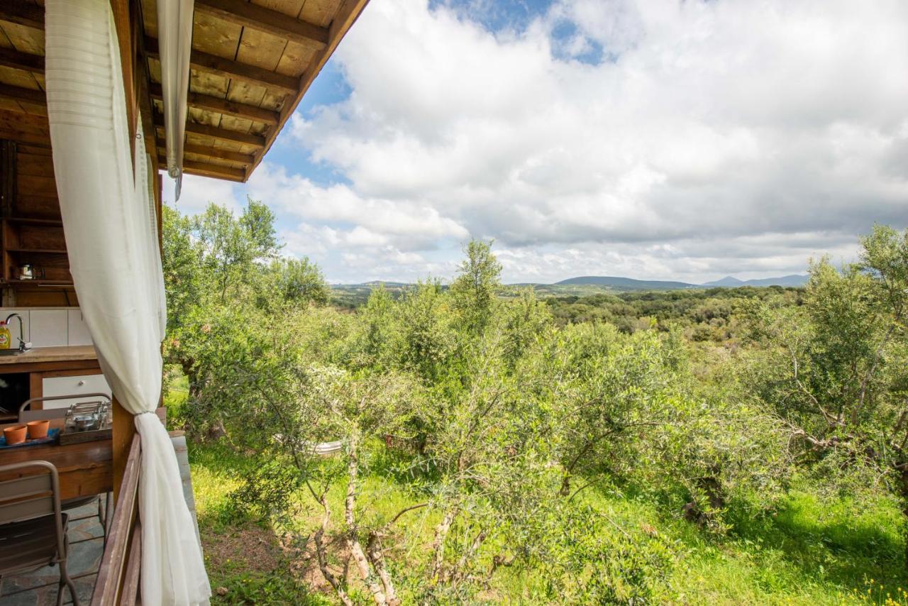 Hakuna Matata Holidays Wooden Lodge With Airco & Pool In Greek Olive Grove Метоні Екстер'єр фото