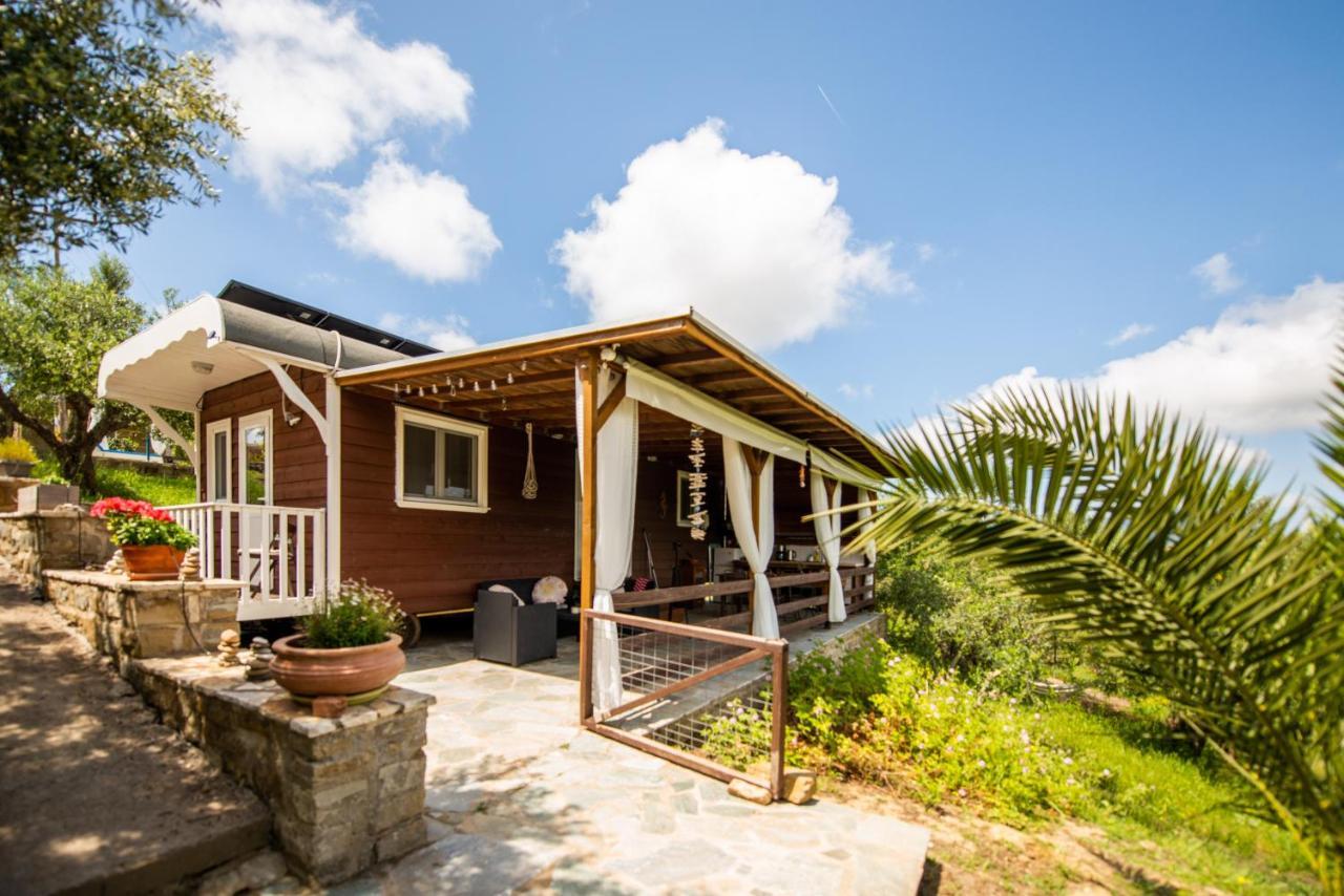 Hakuna Matata Holidays Wooden Lodge With Airco & Pool In Greek Olive Grove Метоні Екстер'єр фото