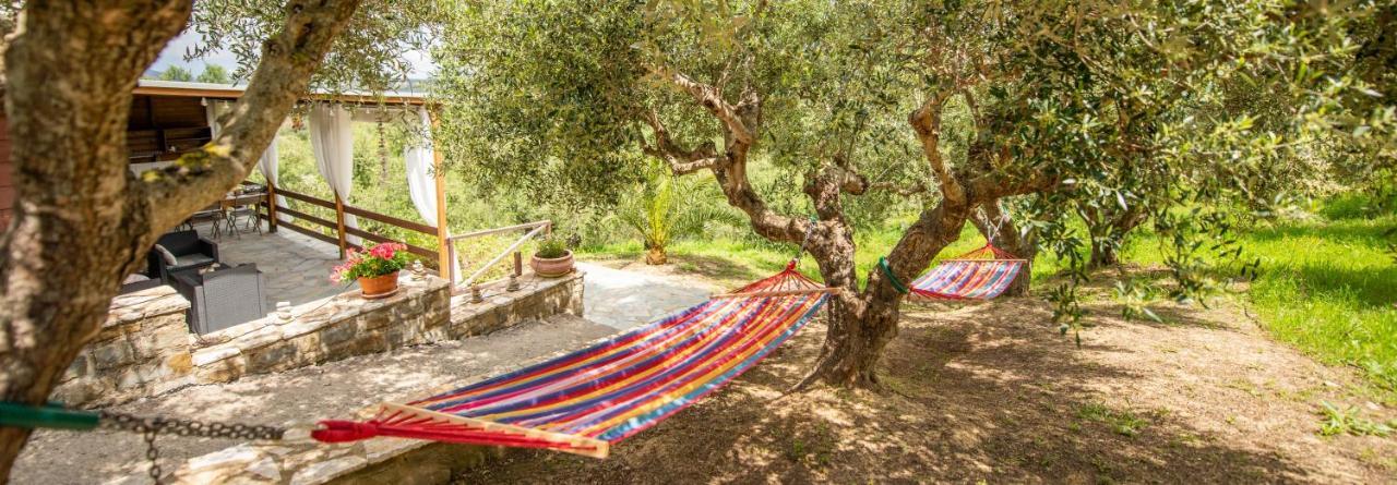 Hakuna Matata Holidays Wooden Lodge With Airco & Pool In Greek Olive Grove Метоні Екстер'єр фото