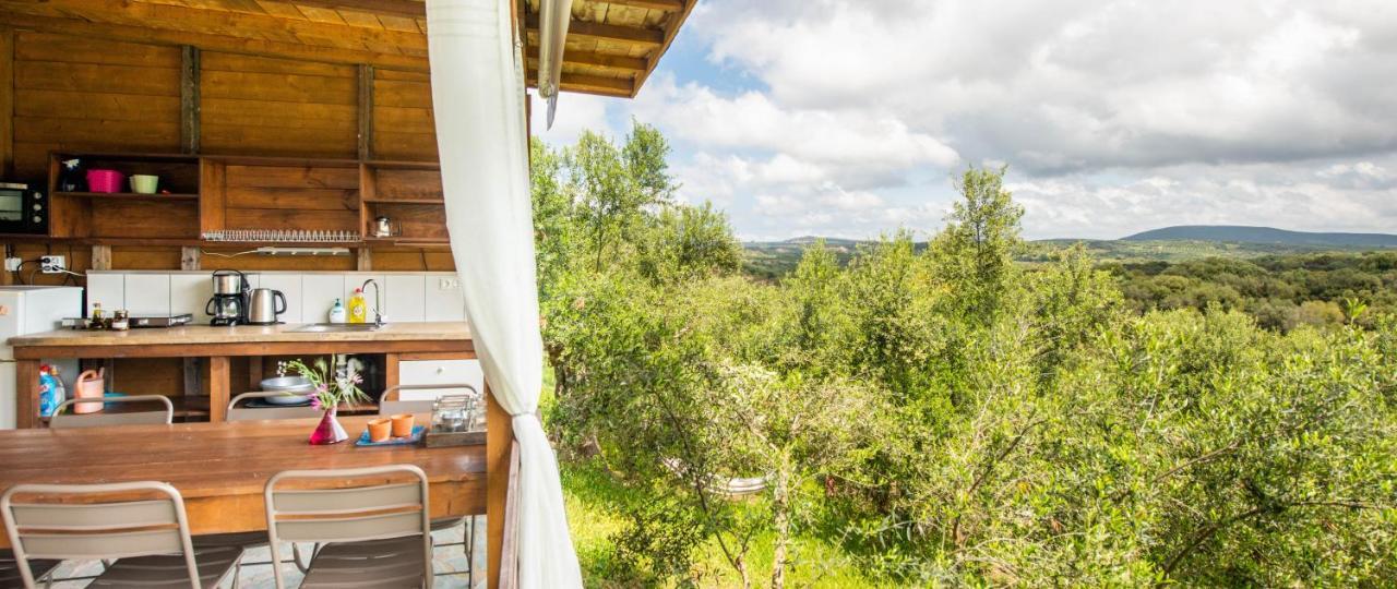 Hakuna Matata Holidays Wooden Lodge With Airco & Pool In Greek Olive Grove Метоні Екстер'єр фото