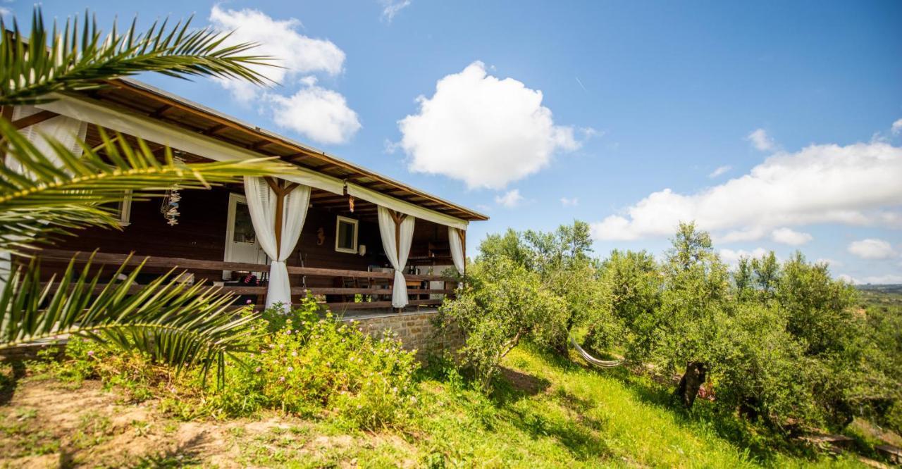 Hakuna Matata Holidays Wooden Lodge With Airco & Pool In Greek Olive Grove Метоні Екстер'єр фото