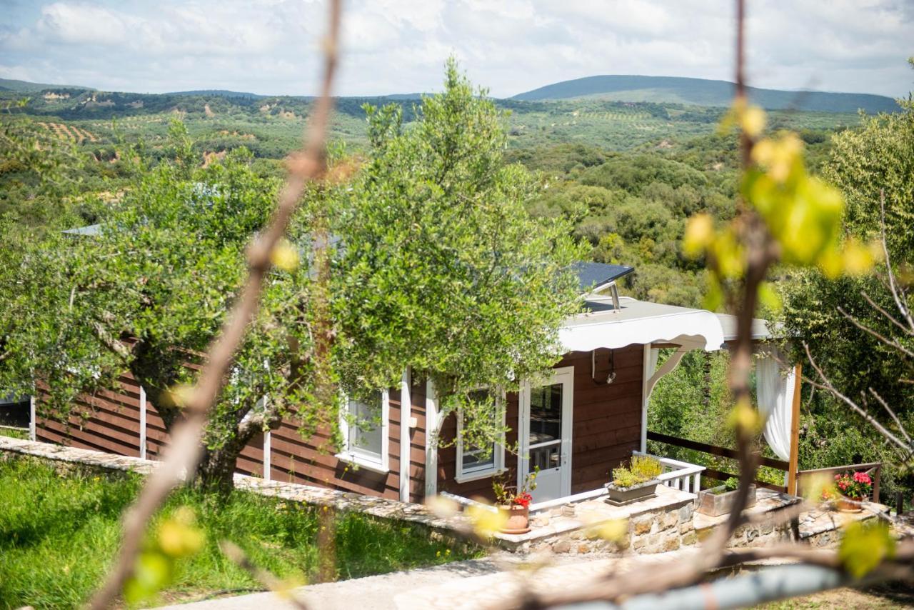 Hakuna Matata Holidays Wooden Lodge With Airco & Pool In Greek Olive Grove Метоні Екстер'єр фото