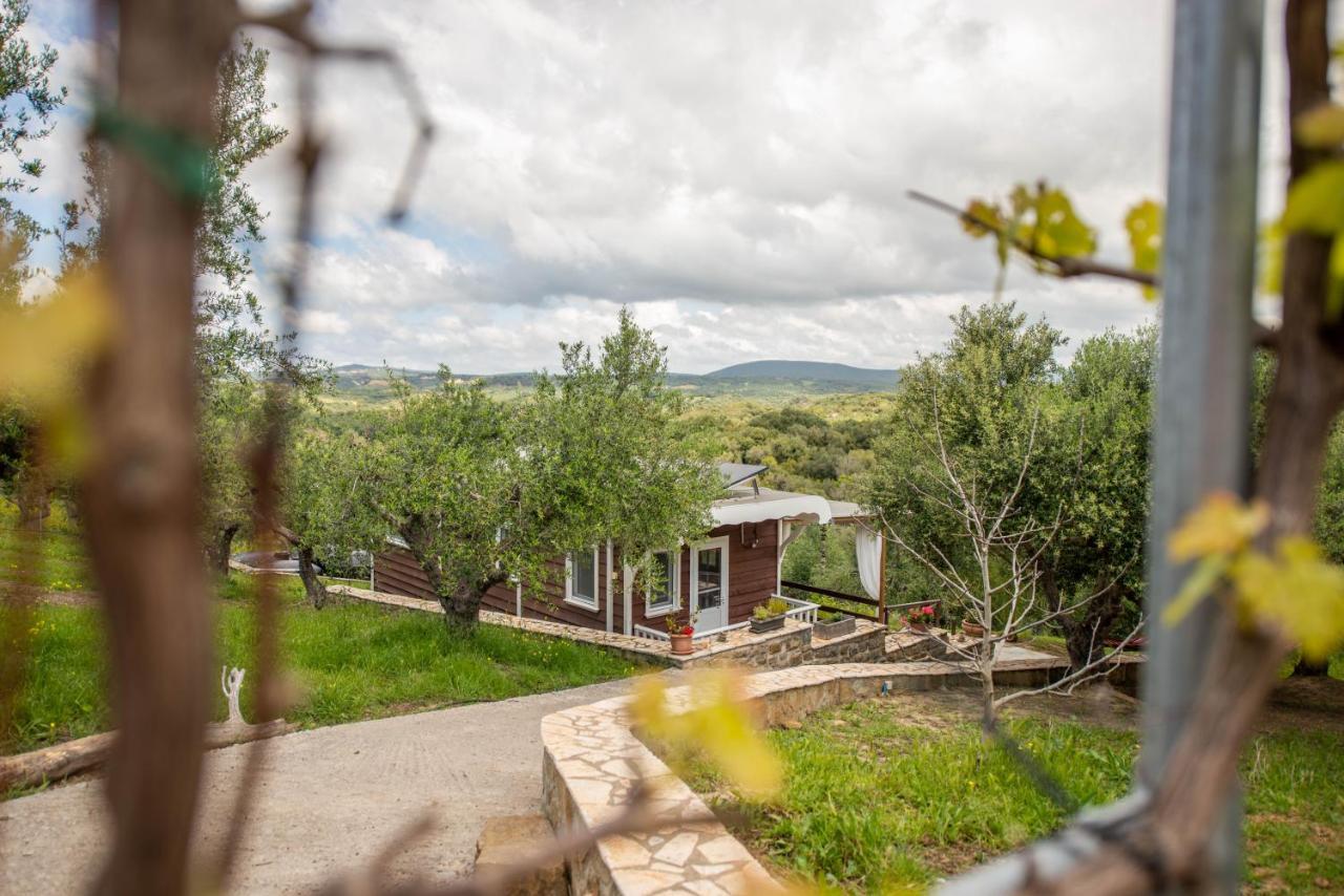 Hakuna Matata Holidays Wooden Lodge With Airco & Pool In Greek Olive Grove Метоні Екстер'єр фото