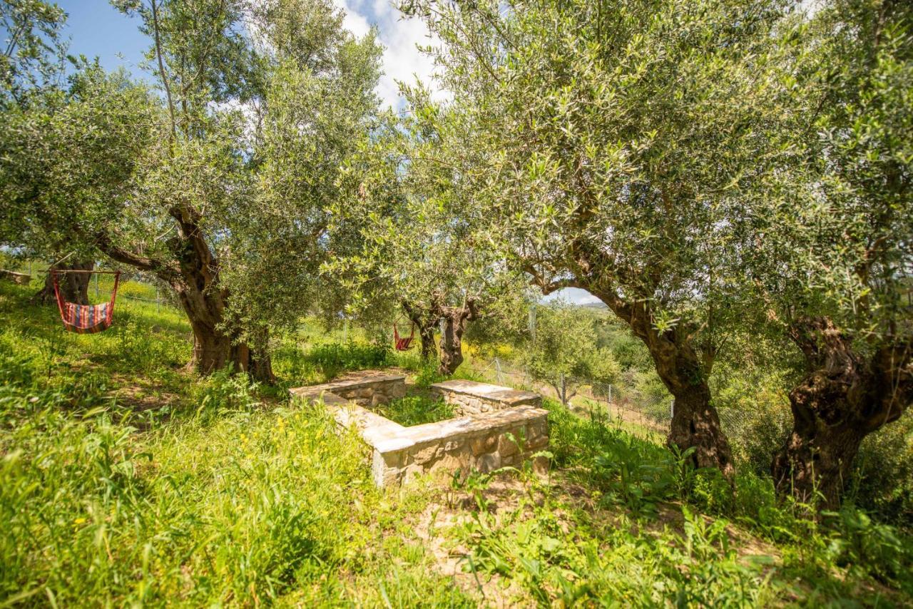 Hakuna Matata Holidays Wooden Lodge With Airco & Pool In Greek Olive Grove Метоні Екстер'єр фото