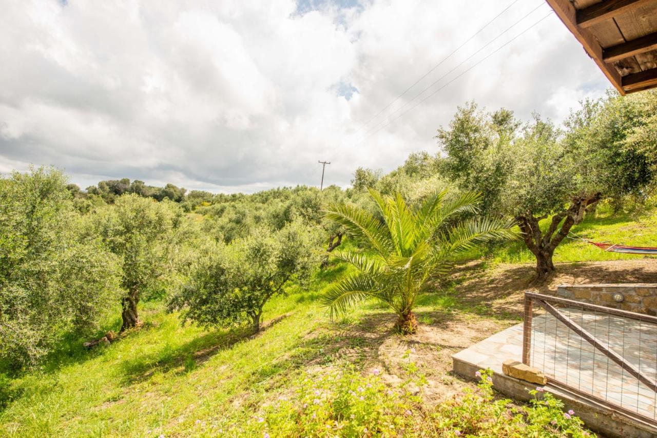 Hakuna Matata Holidays Wooden Lodge With Airco & Pool In Greek Olive Grove Метоні Екстер'єр фото
