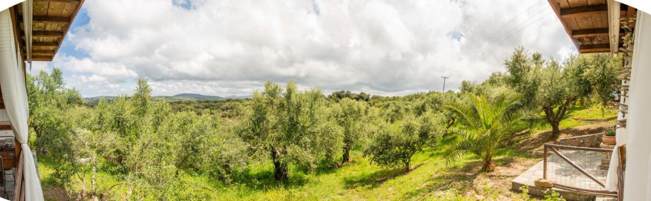 Hakuna Matata Holidays Wooden Lodge With Airco & Pool In Greek Olive Grove Метоні Екстер'єр фото