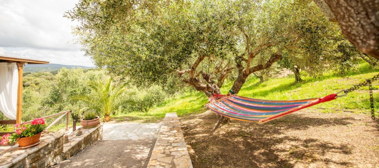 Hakuna Matata Holidays Wooden Lodge With Airco & Pool In Greek Olive Grove Метоні Екстер'єр фото