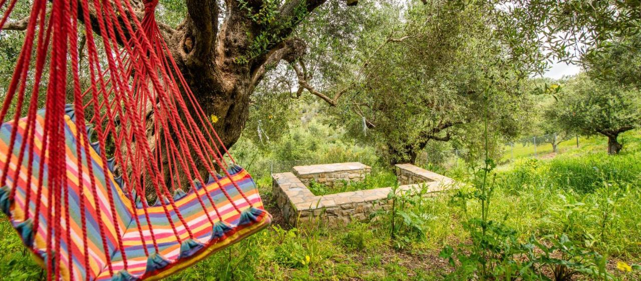 Hakuna Matata Holidays Wooden Lodge With Airco & Pool In Greek Olive Grove Метоні Екстер'єр фото